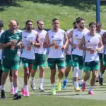 كيف عطّلت الأرجنتين منظومة الجزائر في مونديال 2026؟