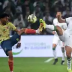 بيتكوفيتش يحدد رهانات الجزائر أمام الأرجنتين قبل مواجهة كأس العالم